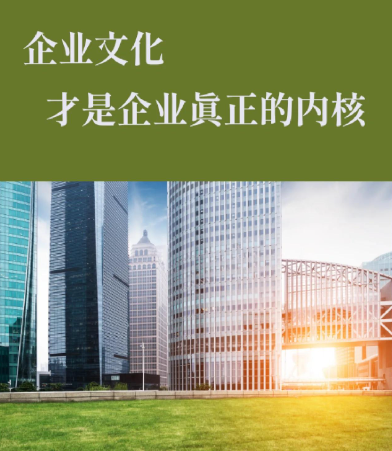 SEW电机及刹车线圈常见故障排查与维护技术指南